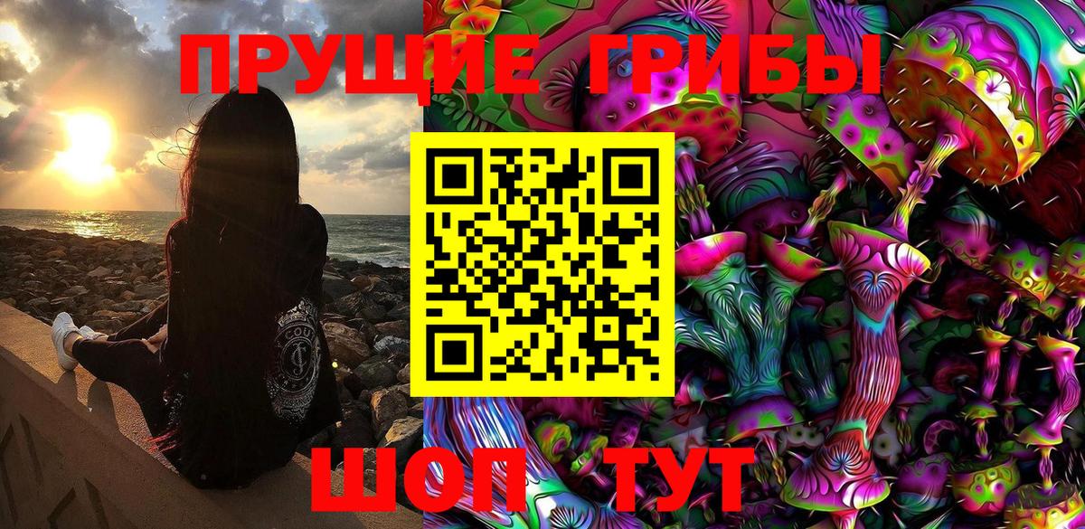 Галлюциногенные грибы GOLDEN TEACHER  Галлюциногенные грибы прущие грибы  Вход с VPN  Касимов 