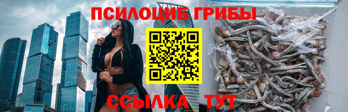 Псилоцибиновые грибы мухоморы Касимов